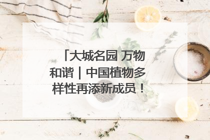 大城名园 万物和谐｜中国植物多样性再添新成员！它只在西藏墨脱