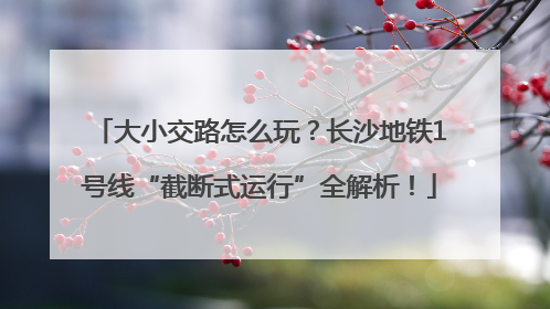 大小交路怎么玩？长沙地铁1号线“截断式运行”全解析！