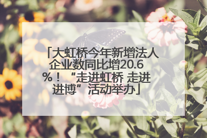 大虹桥今年新增法人企业数同比增20.6%！“走进虹桥 走进进博”活动举办