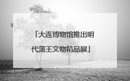 大连博物馆推出明代藩王文物精品展