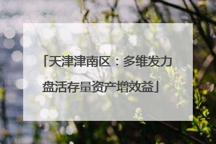 天津津南区：多维发力盘活存量资产增效益