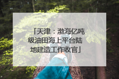 天津：渤海亿吨级油田海上平台陆地建造工作收官