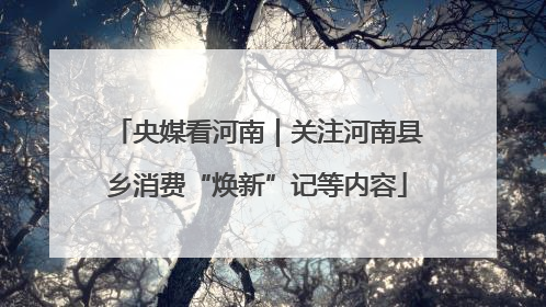 央媒看河南｜关注河南县乡消费“焕新”记等内容