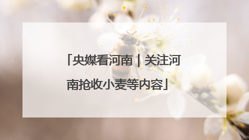 央媒看河南｜关注河南抢收小麦等内容