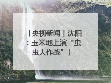 央视新闻｜沈阳：玉米地上演“虫虫大作战”
