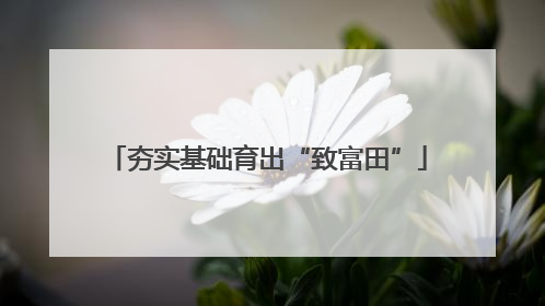 夯实基础育出“致富田”
