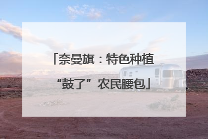 奈曼旗：特色种植“鼓了”农民腰包