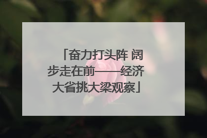 奋力打头阵 阔步走在前——经济大省挑大梁观察