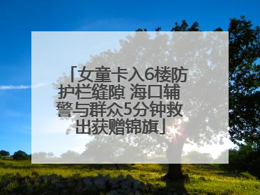 女童卡入6楼防护栏缝隙 海口辅警与群众5分钟救出获赠锦旗
