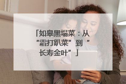 如皋黑塌菜：从“霜打趴菜”到“长寿金叶”