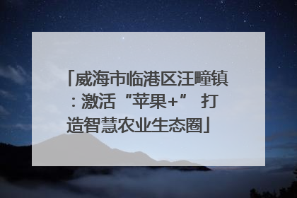 威海市临港区汪疃镇：激活“苹果+” 打造智慧农业生态圈