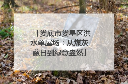 娄底市娄星区洪水单屋场：从煤灰蔽日到绿意盎然