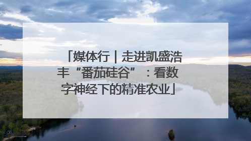 媒体行｜走进凯盛浩丰“番茄硅谷”：看数字神经下的精准农业