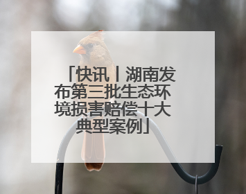 快讯丨湖南发布第三批生态环境损害赔偿十大典型案例