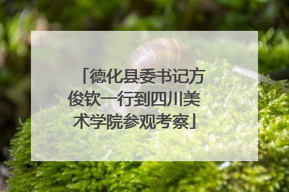 德化县委书记方俊钦一行到四川美术学院参观考察