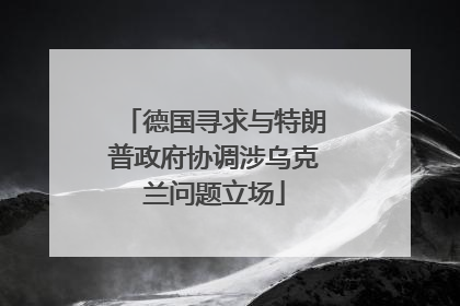 德国寻求与特朗普政府协调涉乌克兰问题立场