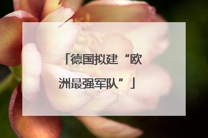 德国拟建“欧洲最强军队”
