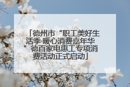 德州市“职工美好生活季·暖心消费嘉年华”德百家电惠工专项消费活动正式启动