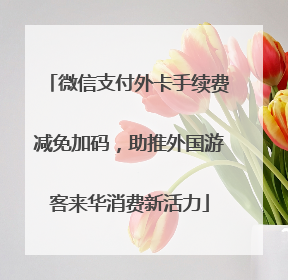 微信支付外卡手续费减免加码，助推外国游客来华消费新活力