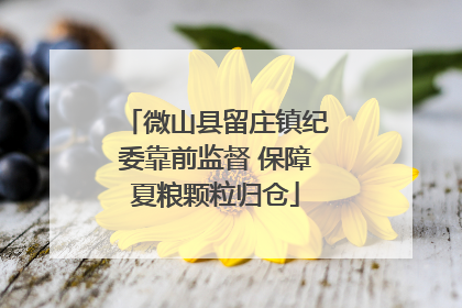微山县留庄镇纪委靠前监督 保障夏粮颗粒归仓