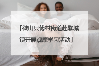 微山县傅村街道赴驩城镇开展观摩学习活动