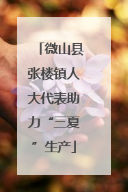 微山县张楼镇人大代表助力“三夏”生产