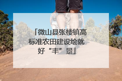 微山县张楼镇高标准农田建设绘就好“丰”景