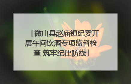 微山县赵庙镇纪委开展午间饮酒专项监督检查 筑牢纪律防线