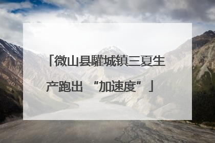 微山县驩城镇三夏生产跑出 “加速度”