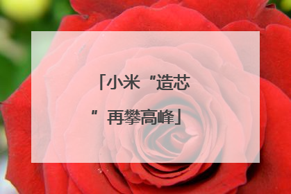 小米“造芯”再攀高峰