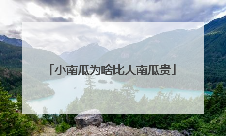 小南瓜为啥比大南瓜贵