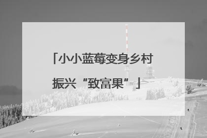 小小蓝莓变身乡村振兴“致富果”