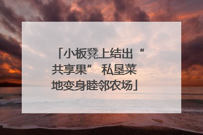 小板凳上结出“共享果” 私垦菜地变身睦邻农场