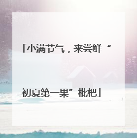 小满节气，来尝鲜“初夏第一果”枇杷