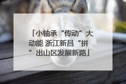 小轴承“传动”大动能 浙江新昌“拼”出山区发展新路