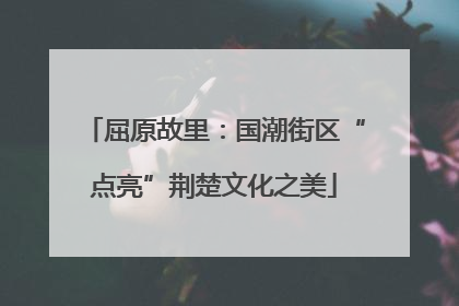 屈原故里：国潮街区“点亮”荆楚文化之美