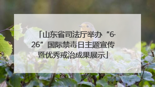 山东省司法厅举办“6·26”国际禁毒日主题宣传暨优秀戒治成果展示