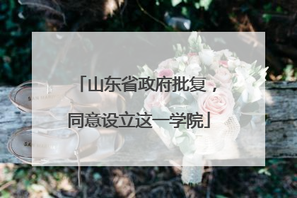 山东省政府批复，同意设立这一学院