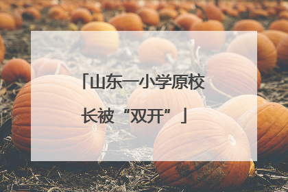 山东一小学原校长被“双开”