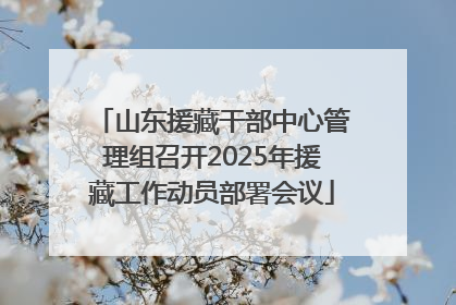 山东援藏干部中心管理组召开2025年援藏工作动员部署会议