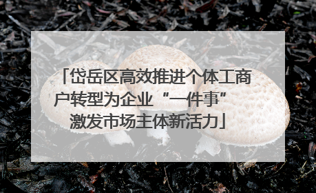 岱岳区高效推进个体工商户转型为企业“一件事” 激发市场主体新活力