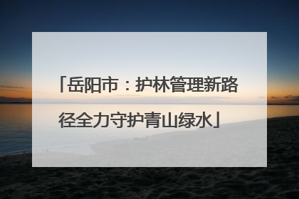 岳阳市：护林管理新路径全力守护青山绿水