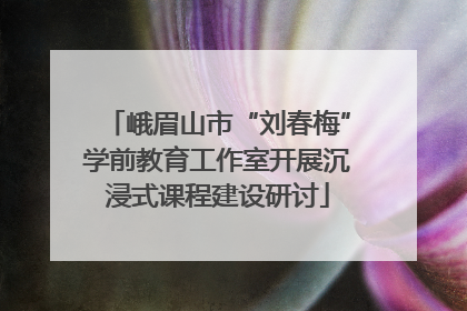 峨眉山市“刘春梅”学前教育工作室开展沉浸式课程建设研讨