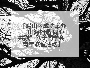 崂山区成功举办“山海相遇 同心共融”欧美同学会青年联谊活动