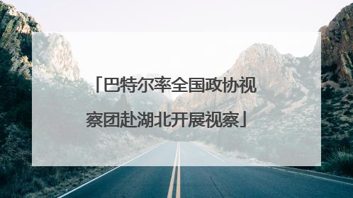 巴特尔率全国政协视察团赴湖北开展视察