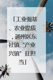 工业强基、农业提质，通州区东社镇“产业兴镇”扛担当