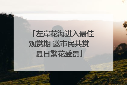 左岸花海进入最佳观赏期 邀市民共赏夏日繁花盛景