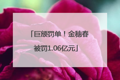 巨额罚单！金穗春被罚1.06亿元