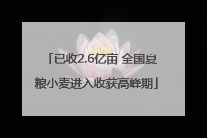 已收2.6亿亩 全国夏粮小麦进入收获高峰期