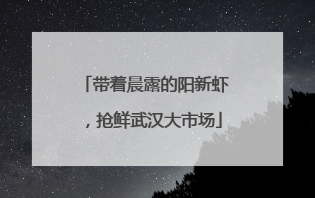 带着晨露的阳新虾，抢鲜武汉大市场